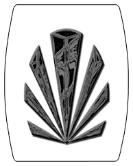 DAREC 602 BK WT Black Sunburst White Background copy